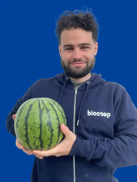 Hermetet Hugo