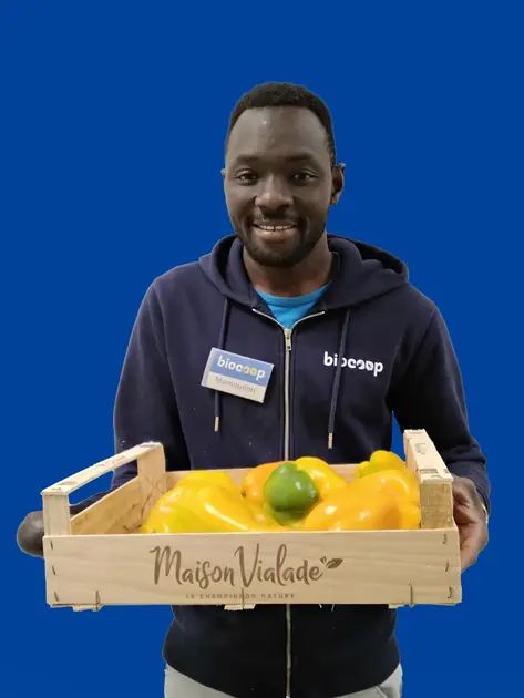 Sylla Mamoudou