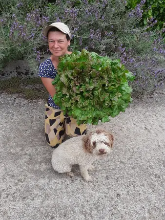 Le Potager des Culs Fouettés