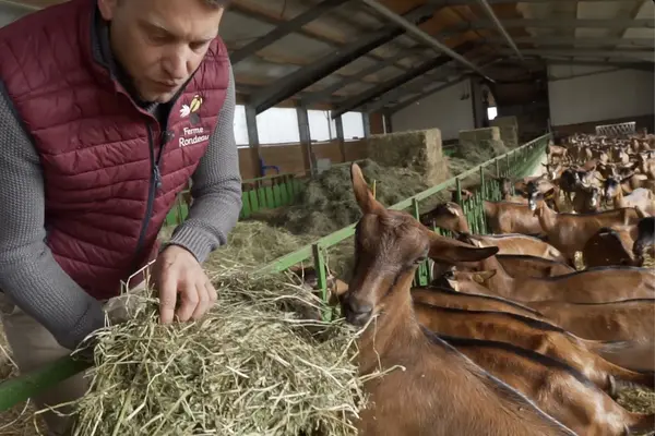 La Ferme du Rondeau La Ferme du Rondeau