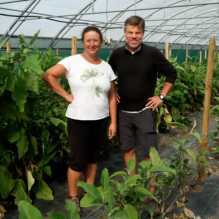 Aux Sons du Potager Aux Sons du Potager